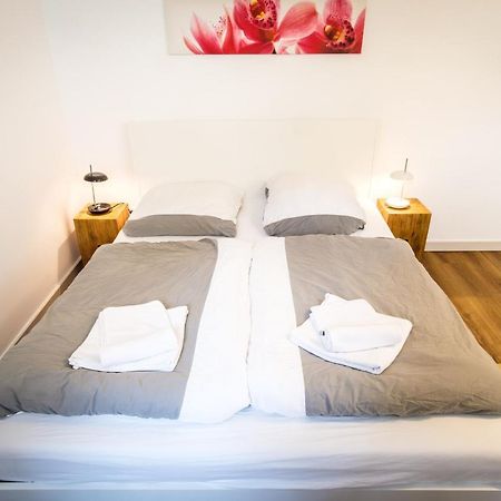 Wunderschoene Wohnung In Sanierter Villa! Incl Wifi Drezno Zewnętrze zdjęcie